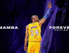 开云体育官方网站-东决鏖战夜，当扣将化身终结者，拉文刺破质疑的尖刀时刻