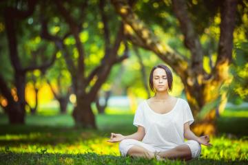 开云官方app入口-波尔双响炮轰垮北欧防线，法国队技术性击倒瑞典迎小组赛关键胜