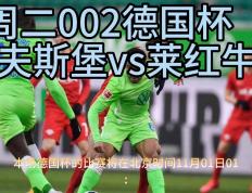 开云体育官网-沃尔夫斯堡主场大胜，继续压制前提名			