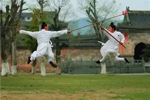 开云体育在线-武术比赛选手刚毅果敢称霸赛场